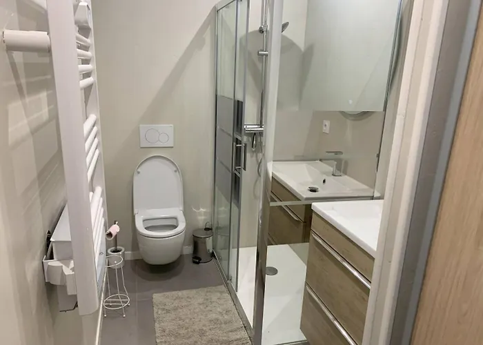 Ξενοδοχείο La Gachere De Sur